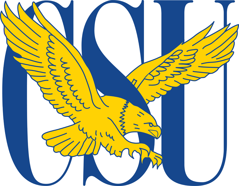 Coppin State Eagles 2004-2016 Primary Logo iron on transfers for T-shirts